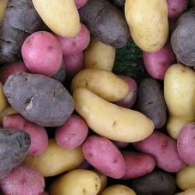 Which potatoes are healthier Sweet Potatoes Or White Potatoes Mevolife Which potatoes are healthier Sweet Potatoes Or White Potatoes Mevolife